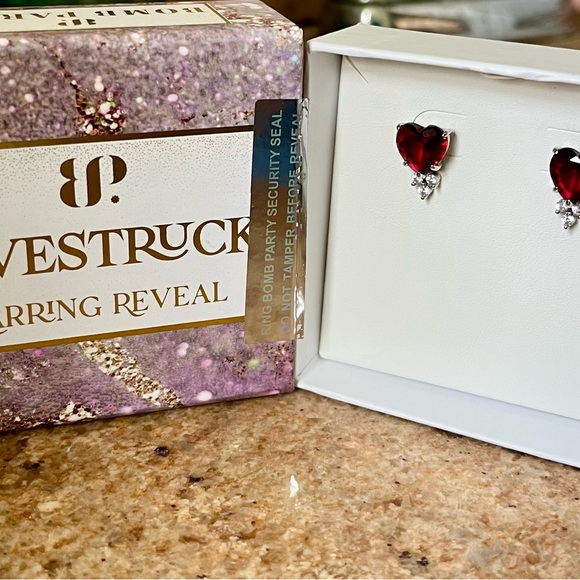Lovestruck Ruby Red Heart Earrings with Sterling Silver Details - Picture 1 of 3